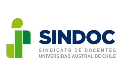 Declaración SINDOC: Regulaciones y Reglamentos de Aguinaldo en Instituciones de Educación Superior No estatales