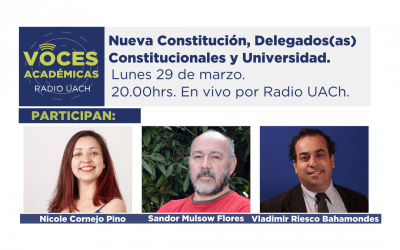 Programa Radial Voces Académicas: 29 de marzo 2021. Nueva Constitución, Delegados(as) Constitucionales y Universidad.
