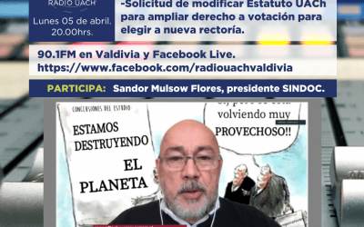 Voces Académicas 05 de abril: Actividades SINDOC primer trimestre 2021.