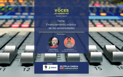 VOCES ACADÉMICAS: Financiamiento público de las universidades