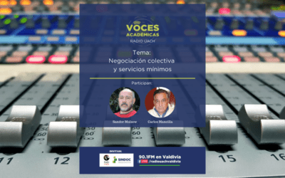 VOCES ACADÉMICAS: Negociación colectiva y servicios mínimos