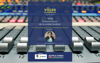 VOCES ACADÉMICAS: Fortalecimiento de la unidad sindical en Puerto Montt
