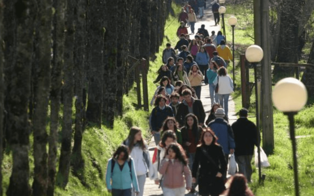 Carta a nuestros/as estudiantes UACh