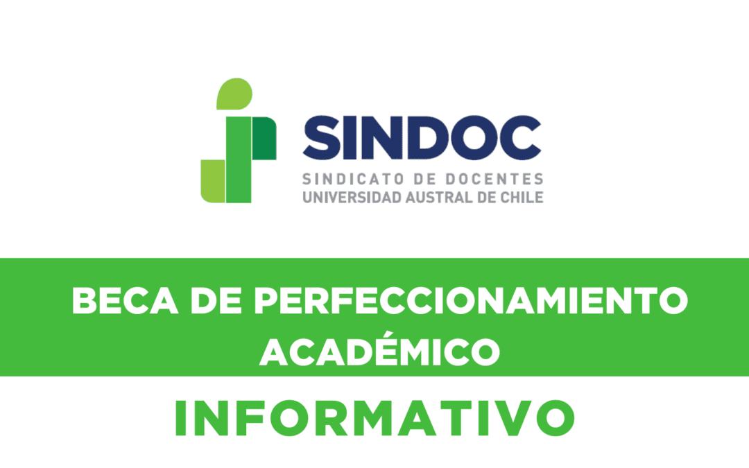 SINDOC invita a postular a Beca de Perfeccionamiento Académico