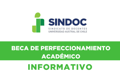 SINDOC invita a postular a Beca de Perfeccionamiento Académico