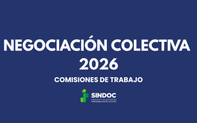 SINDOC LLAMA A PARTICIPAR DEL COMITÉ DE MOVILIZACIÓN