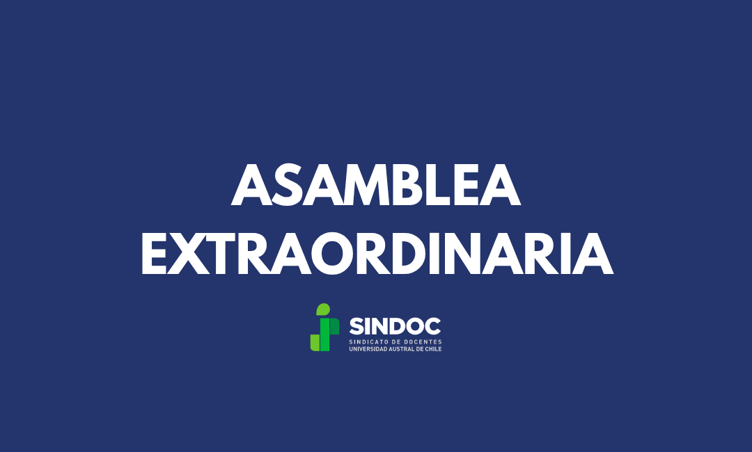 SINDOC CITA A ASAMBLEA EXTRAORDINARIA – 13 DE AGOSTO DE 2026